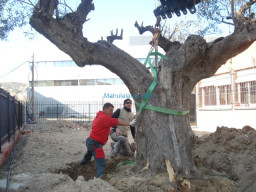 Fotos Noticias 2010